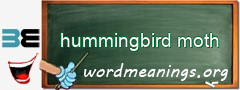 WordMeaning blackboard for hummingbird moth